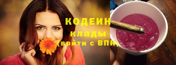 спиды Богданович