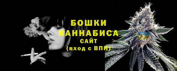 спиды Богданович