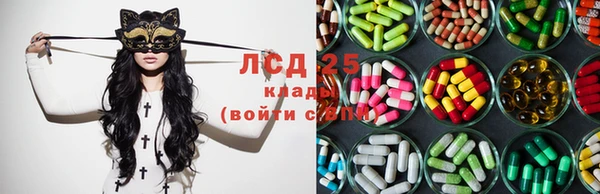 спиды Богданович