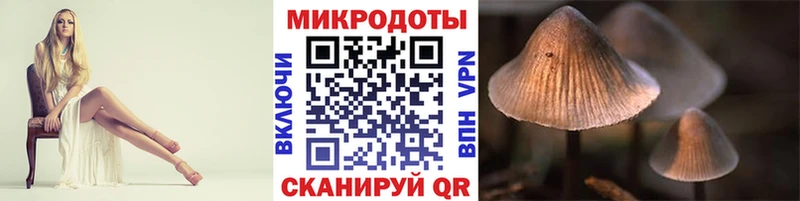 Псилоцибиновые грибы мухоморы  купить наркоту  Междуреченск 