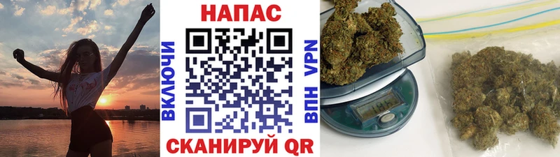 Канабис Amnesia сколько стоит Междуреченск